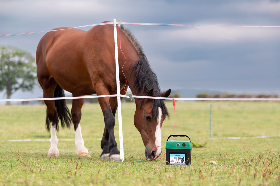 Smart Energiser Rutland