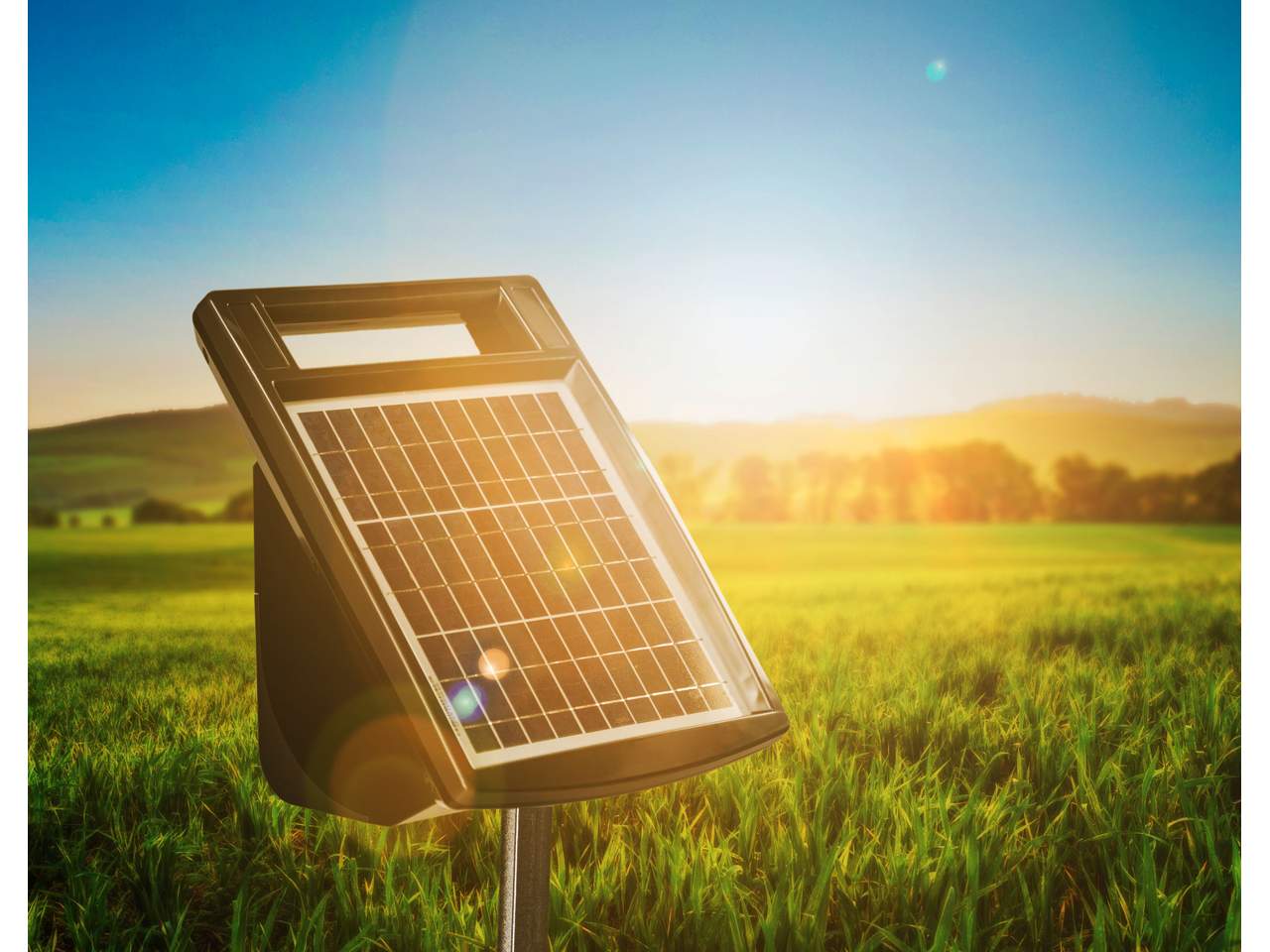 ESS 675 - Image 5 of 5