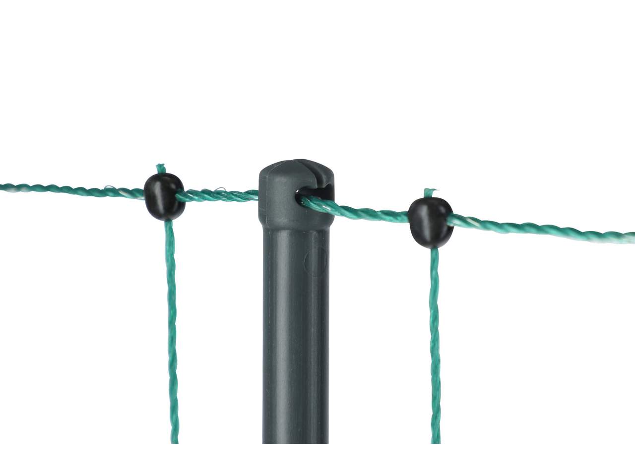 Premium Poultry Net - Image 8 of 20