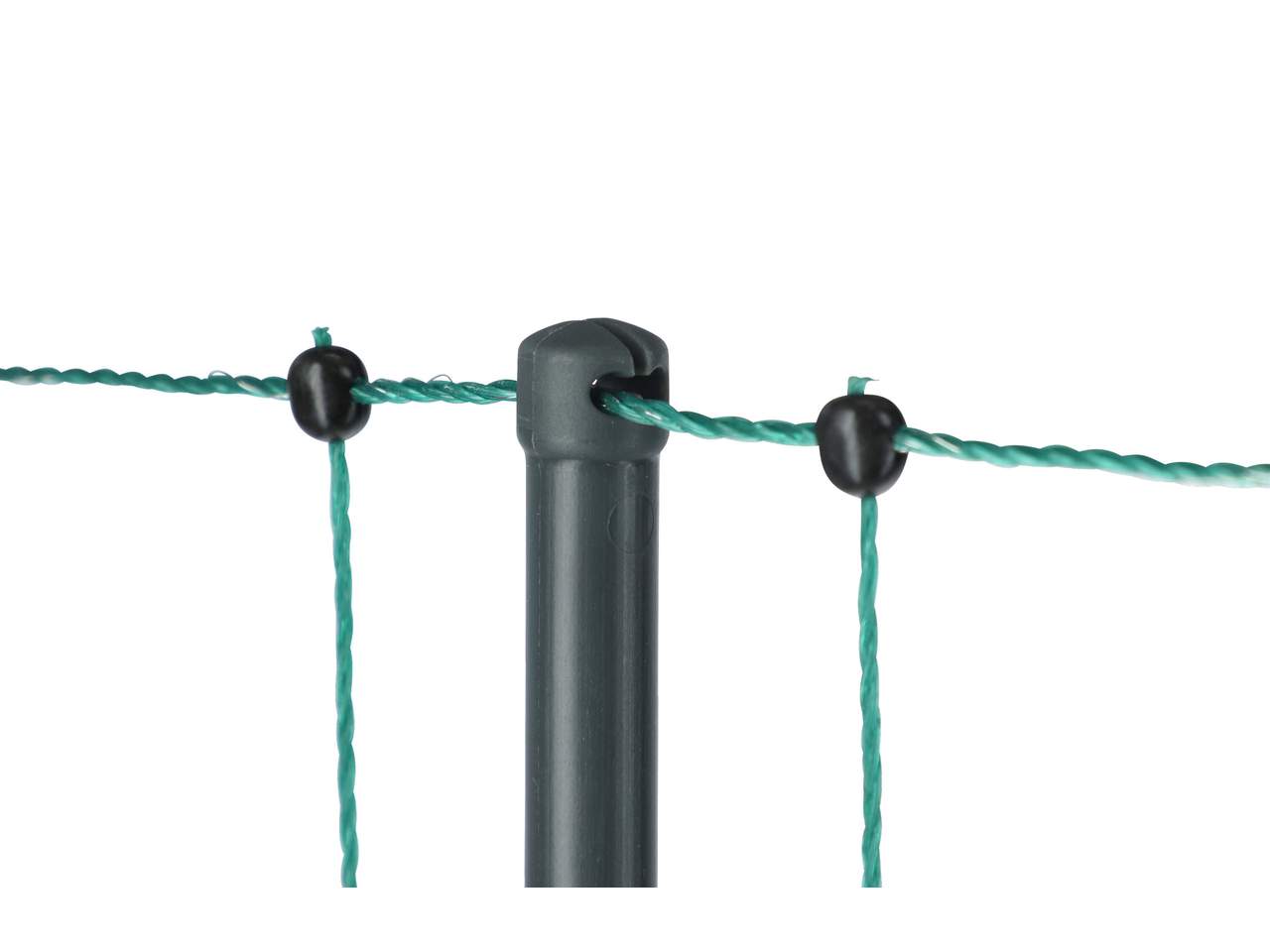 Premium Poultry Net - Image 8 of 20