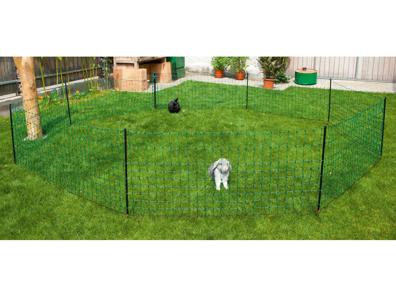 Rabbit Netting - Image 2 of 3