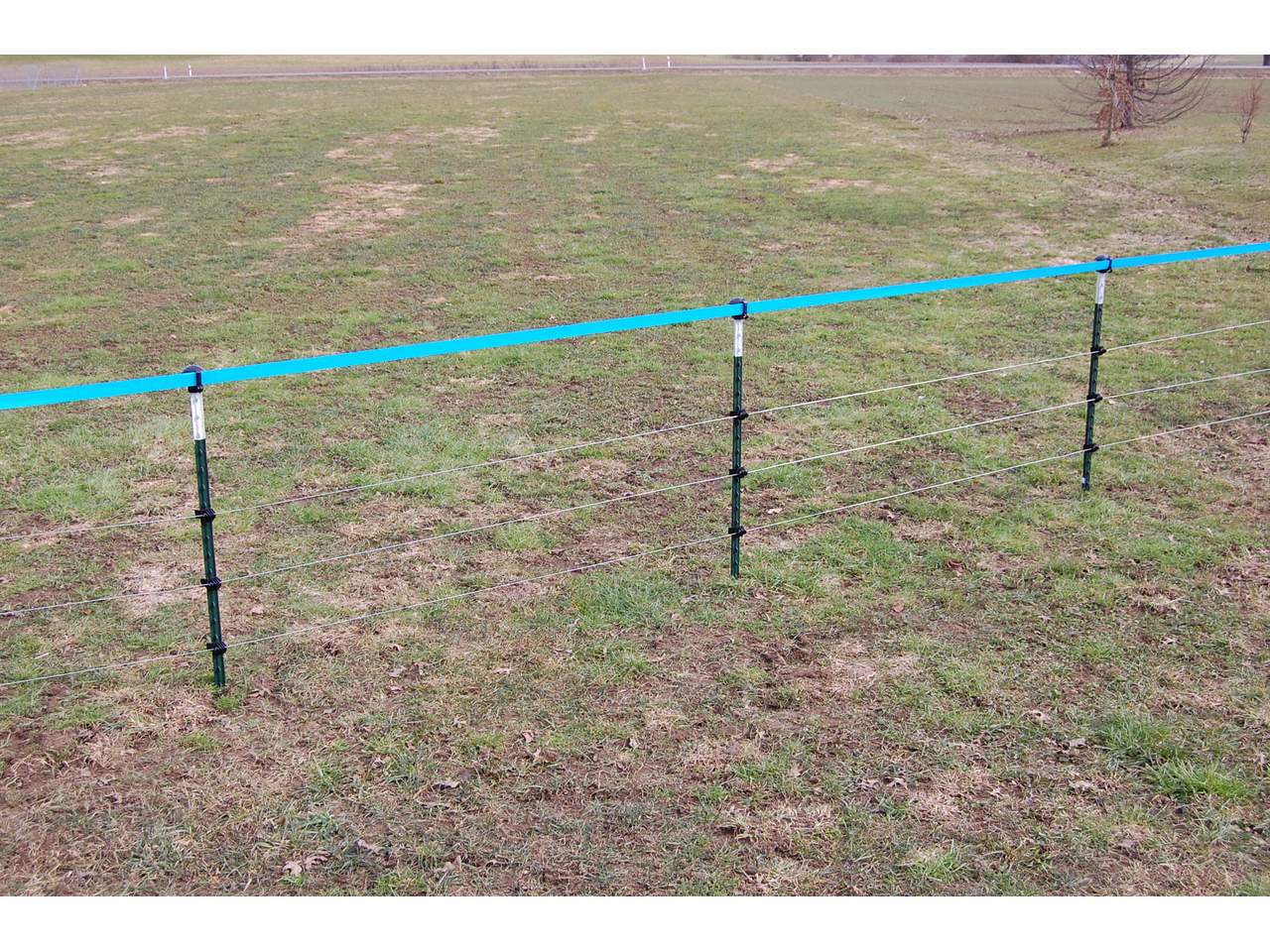 Metal Post T-Post - Image 5 of 12