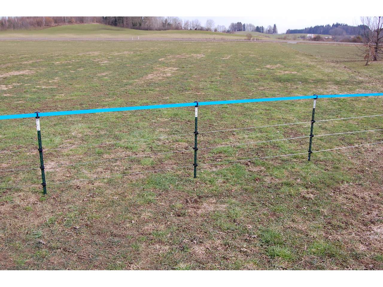 Metal Post T-Post - Image 2 of 12