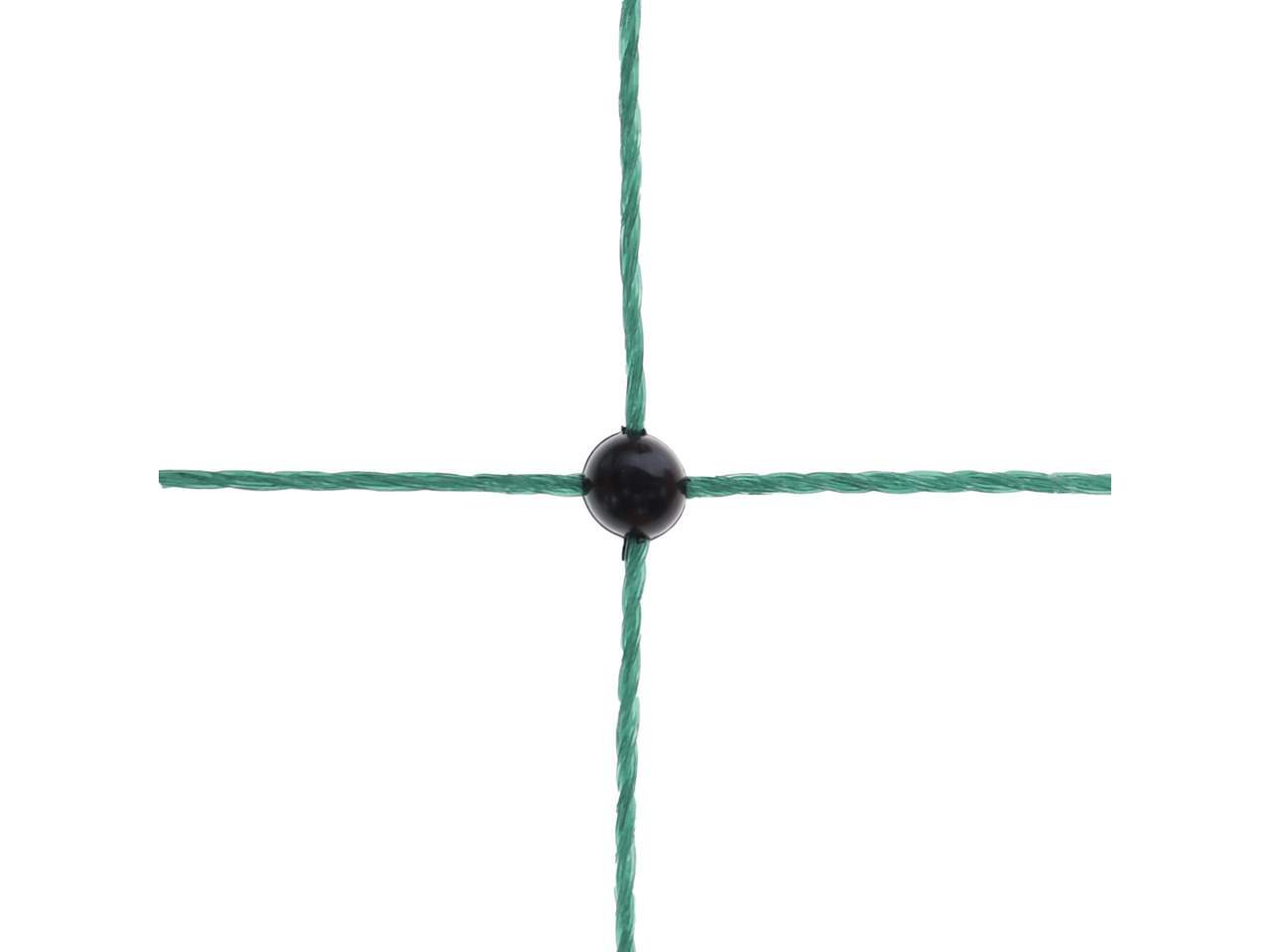 Premium Poultry Net - Image 6 of 20