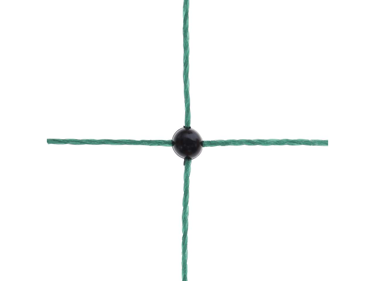 Premium Poultry Net - Image 6 of 20