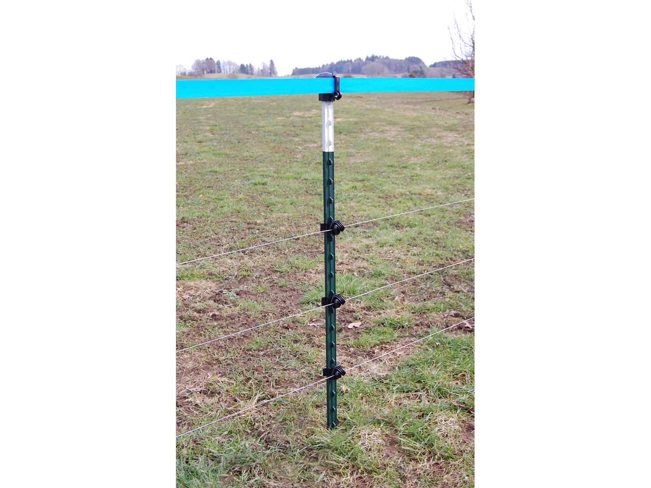 Metal Post T-Post - Image 7 of 12