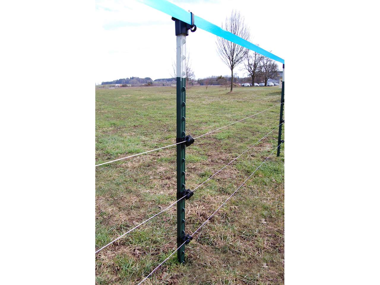 Metal Post T-Post - Image 6 of 12