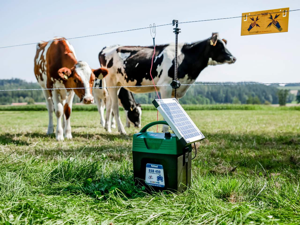 ESB 450 - Image 8 of 12