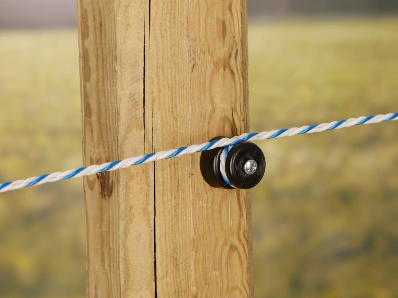 Nail Insulator - Image 2 of 4