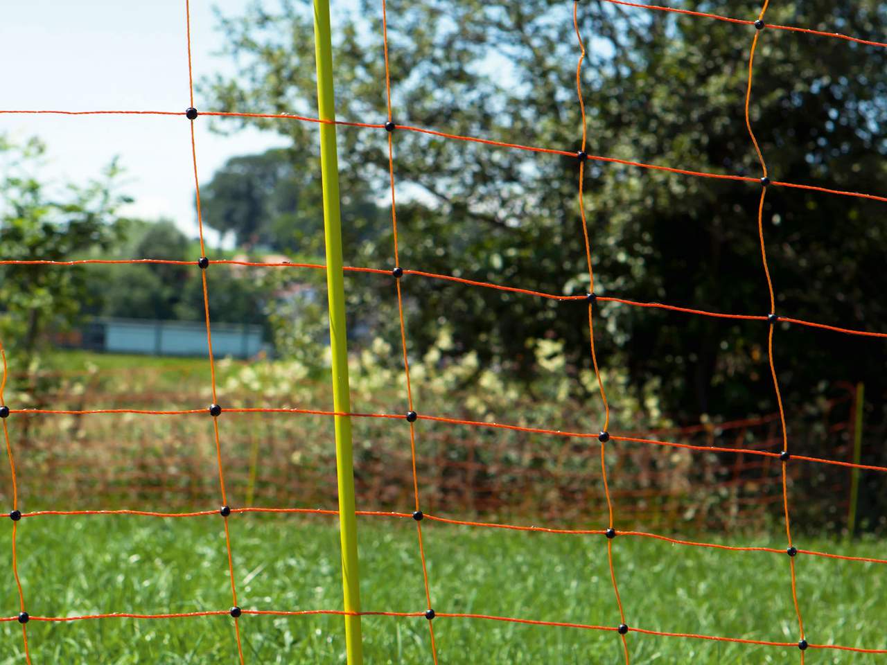 Sheep Netting ClassicNet - Image 5 of 5