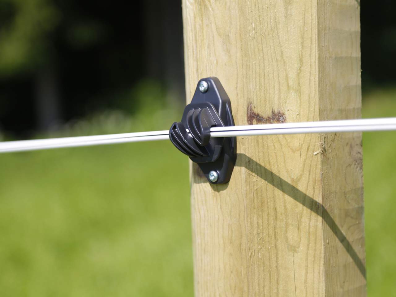 Premium Horse Wire - Image 4 of 25