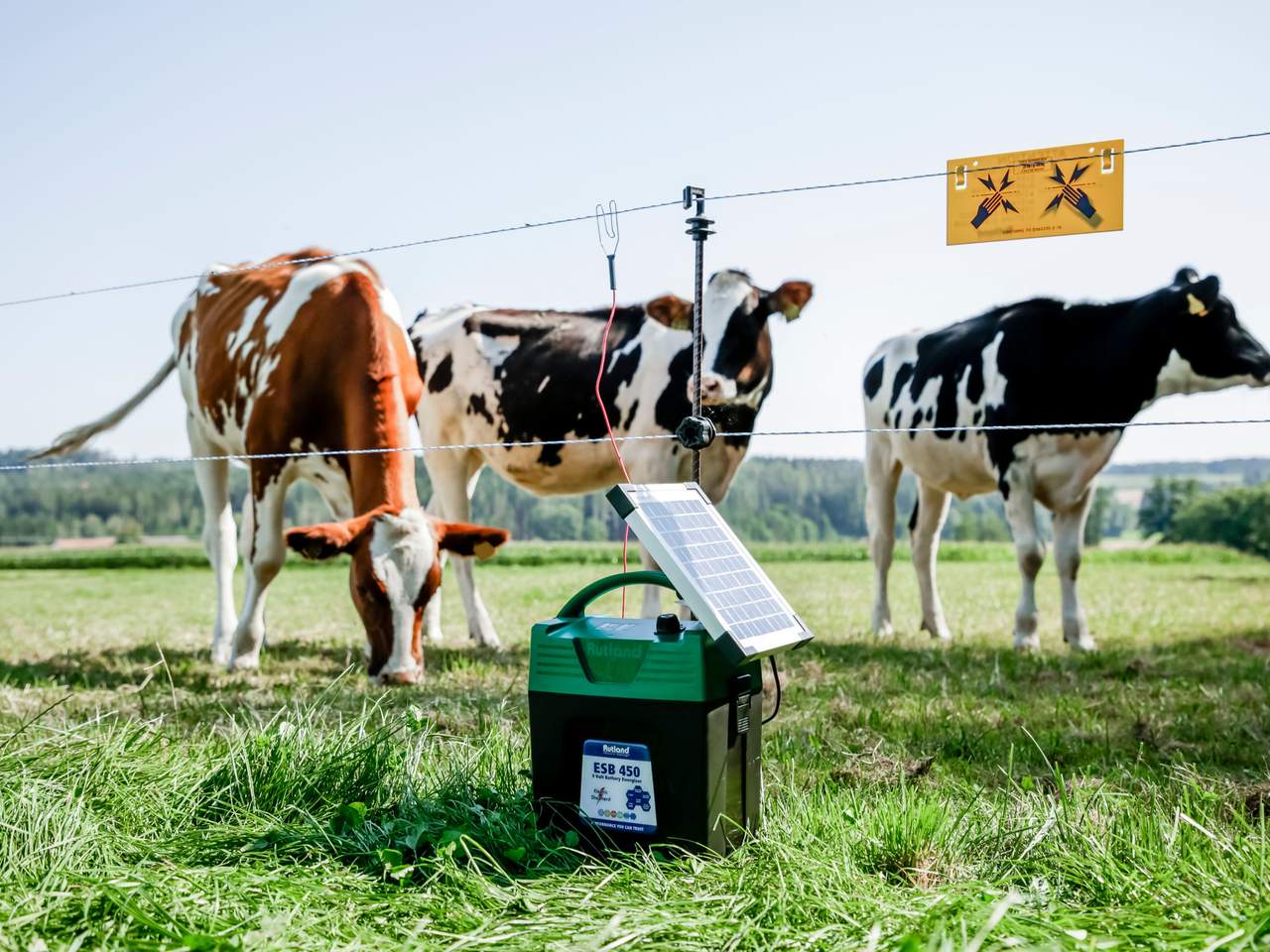 ESB 450 - Image 9 of 12
