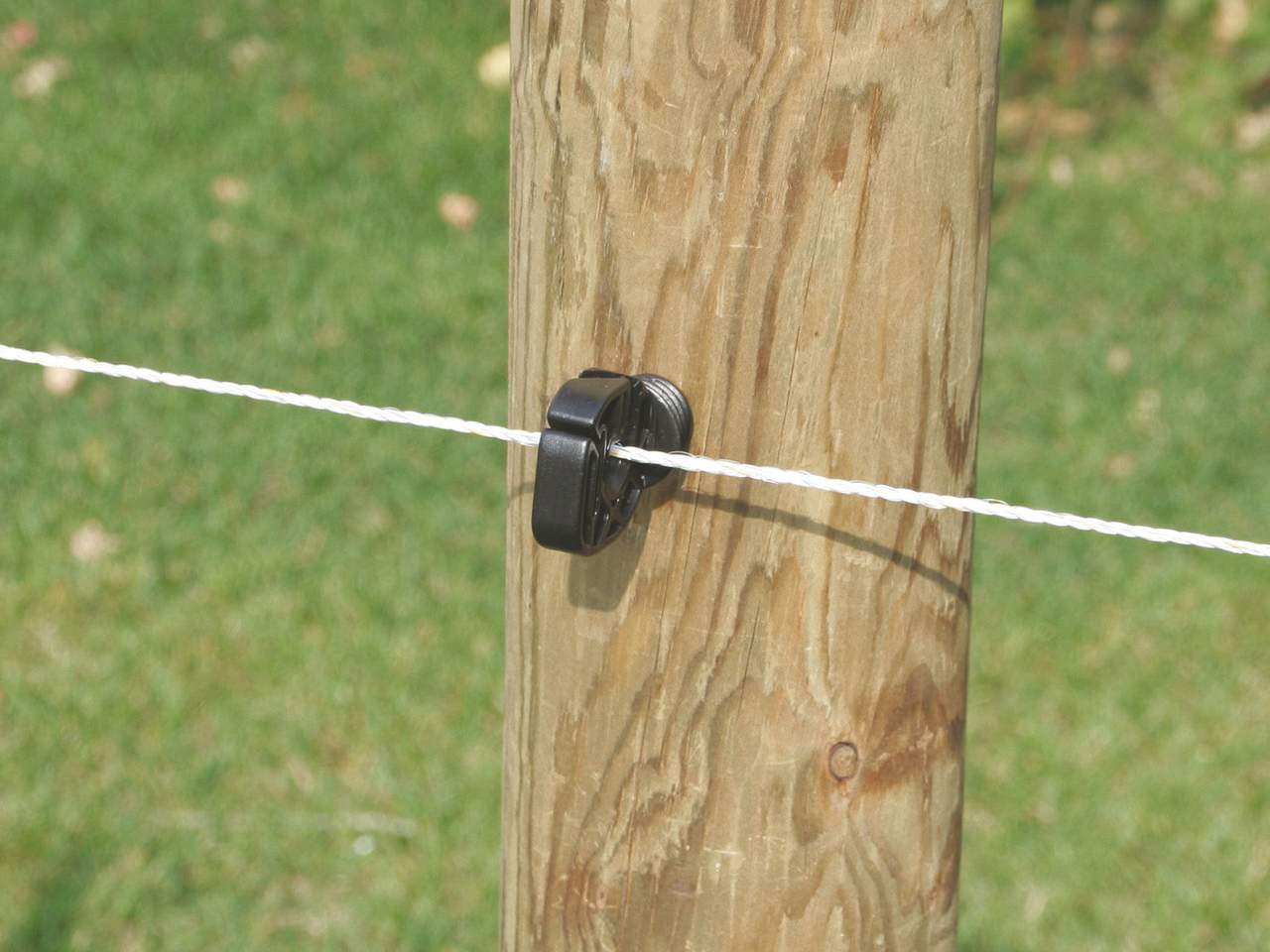 Poly Wire - Image 9 of 16