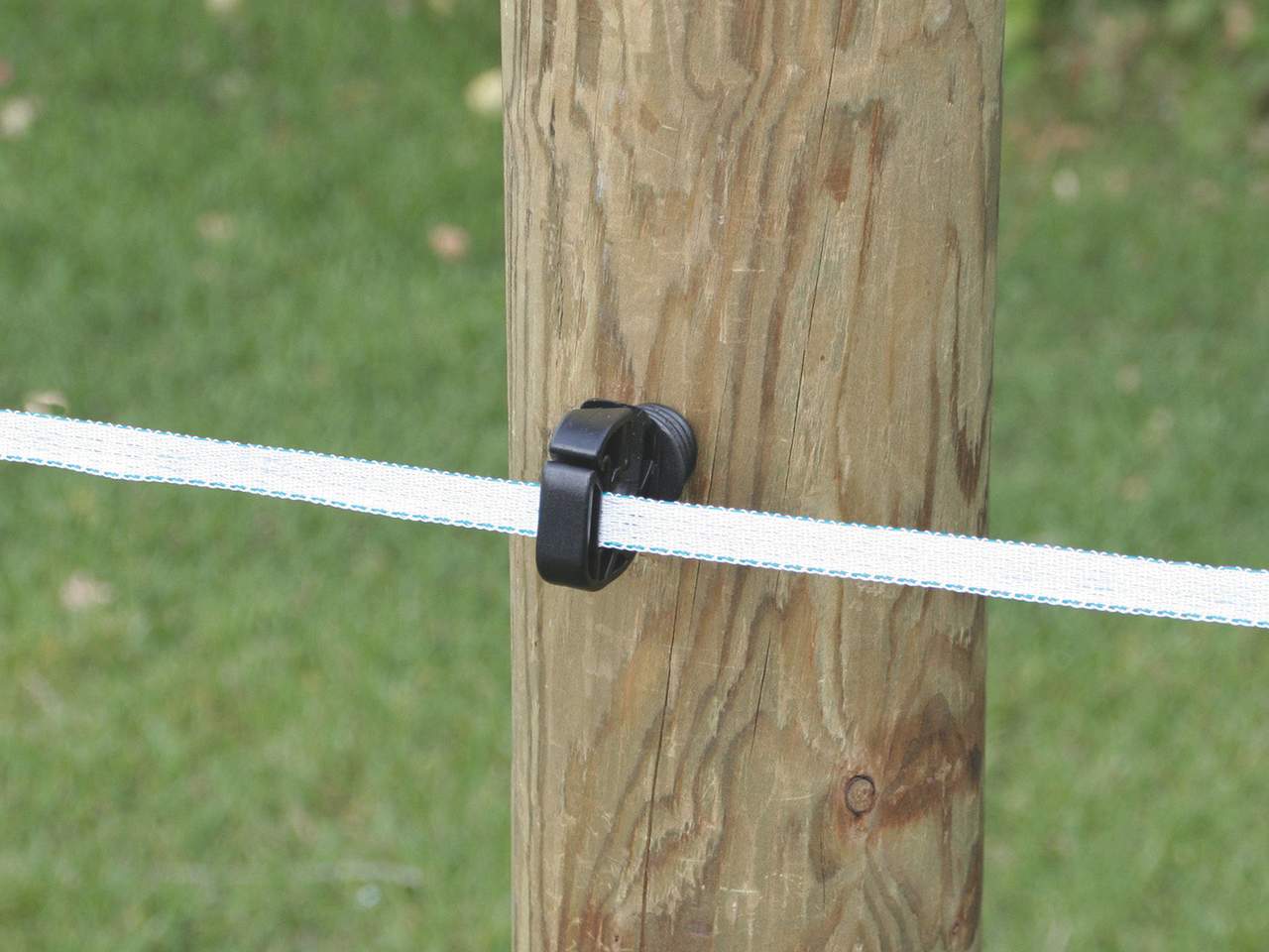 Tape Essentials - Image 10 of 10