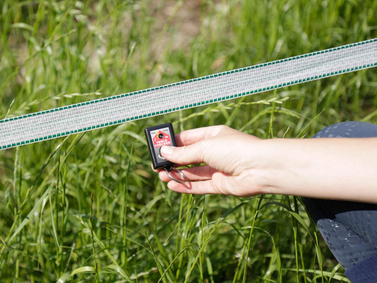 Fence-Checker - Image 3 of 4