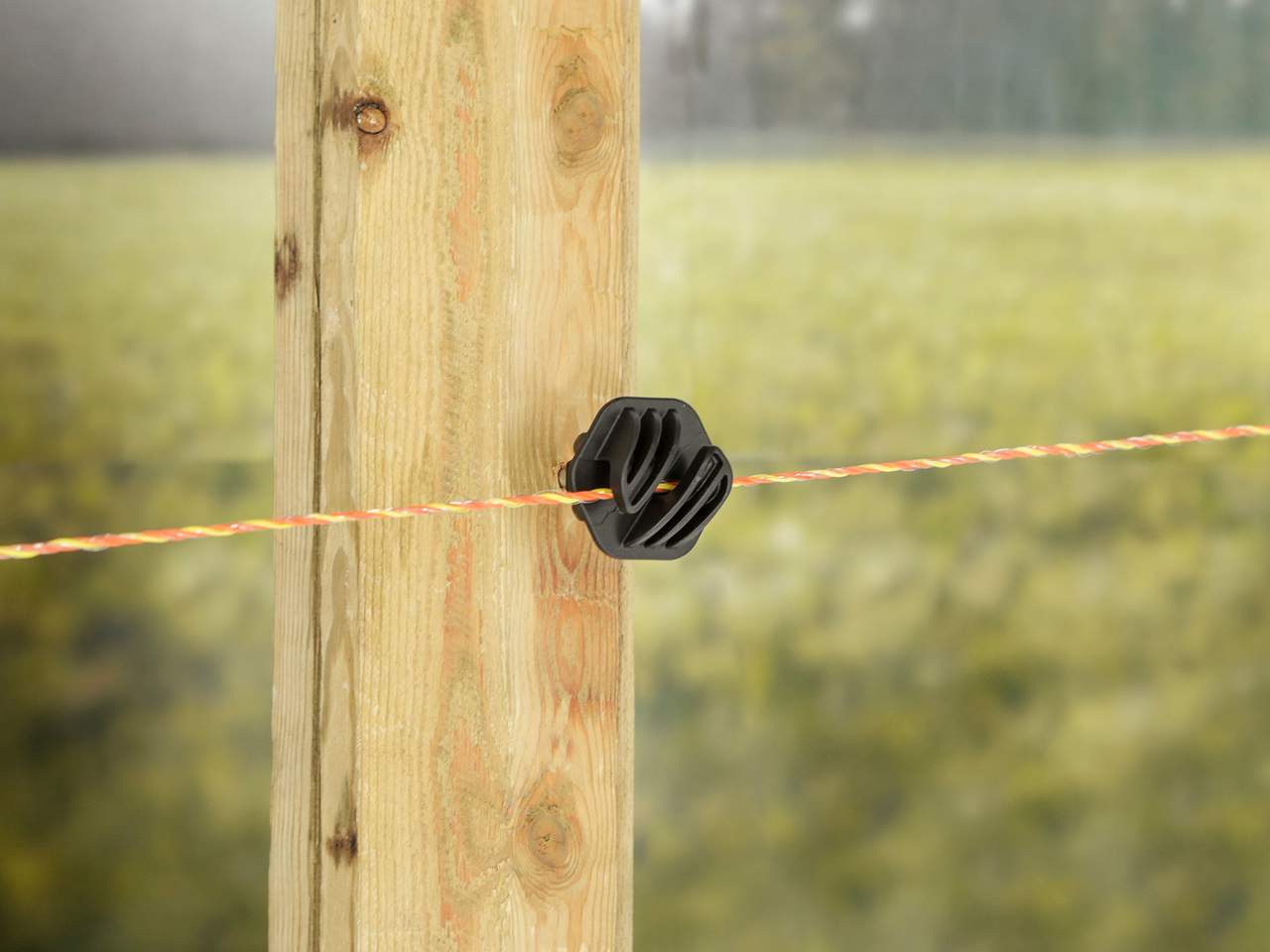 Poly Wire - Image 16 of 16