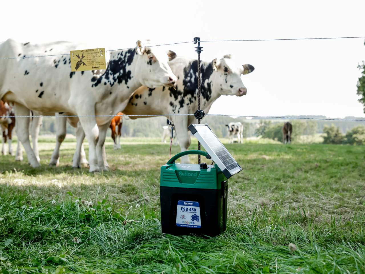 ESB 450 - Image 12 of 12