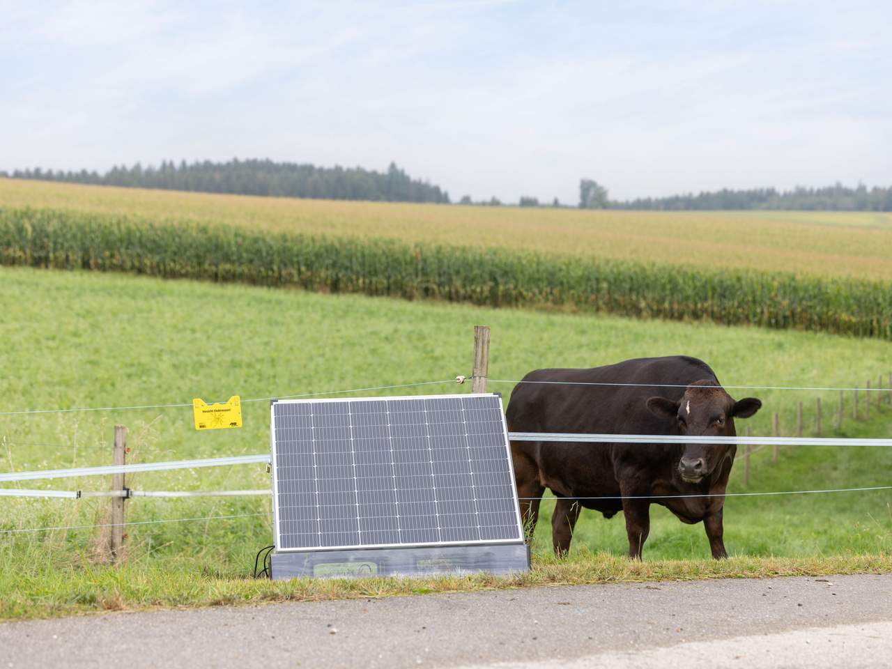 AKO Solar-PowerStation smart - Image 15 of 28