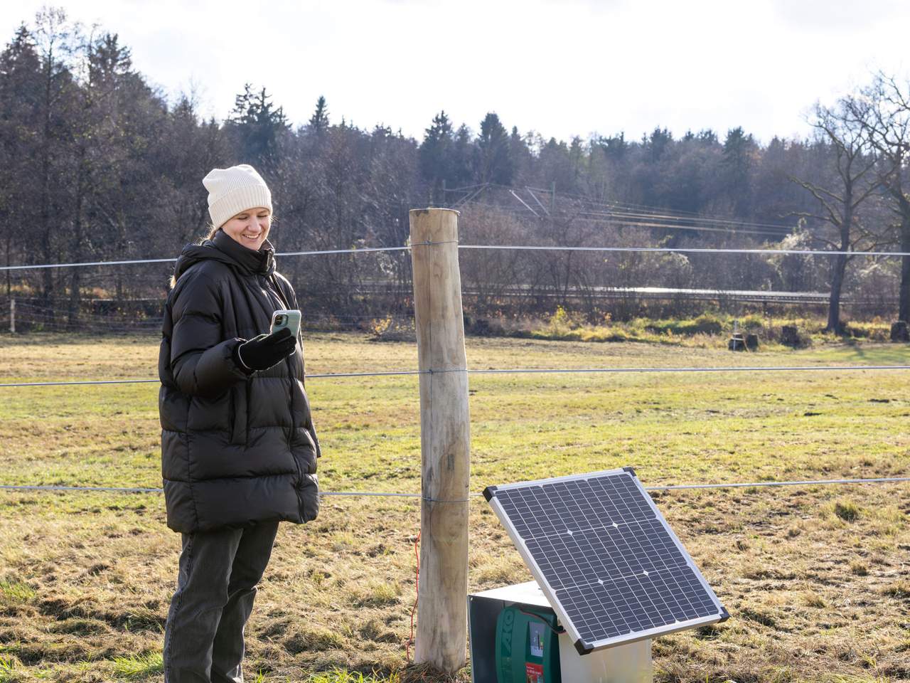 Solar Panel - Image 21 of 24