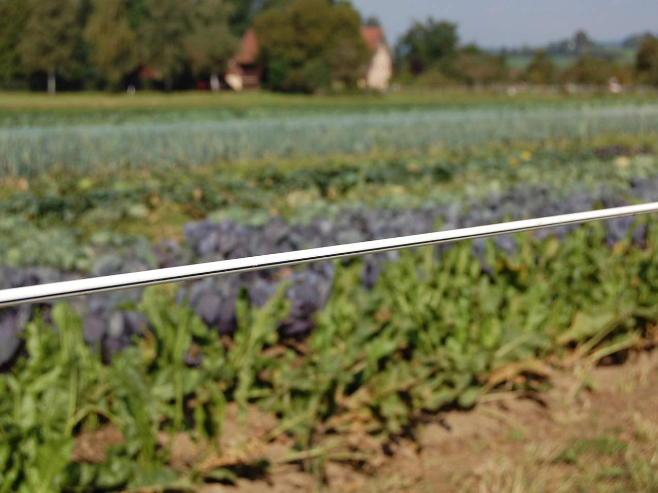 Premium Horse Wire - Image 24 of 25