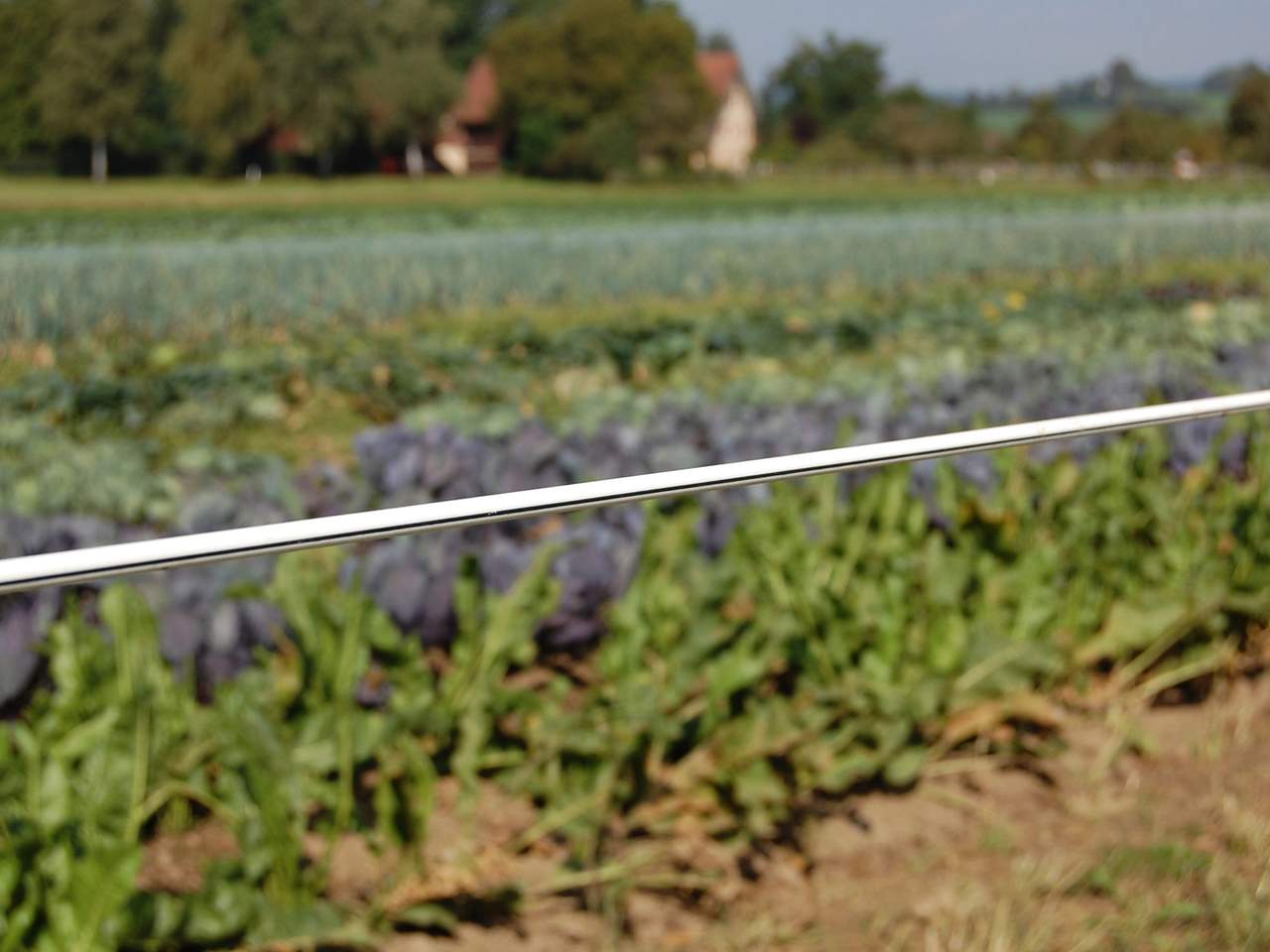 Premium Horse Wire - Image 24 of 25