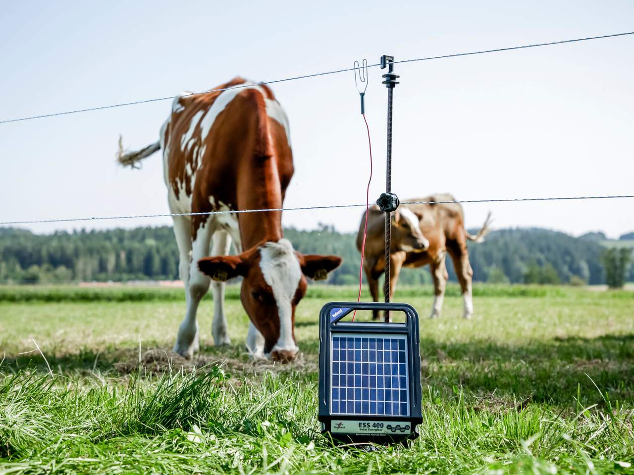 ESS 400 - Image 5 of 7