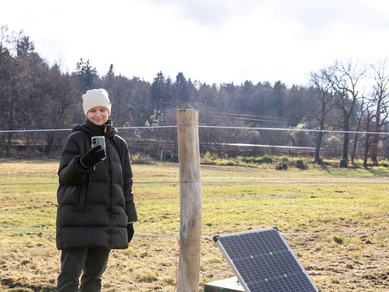 Solar Panel - Image 20 of 24