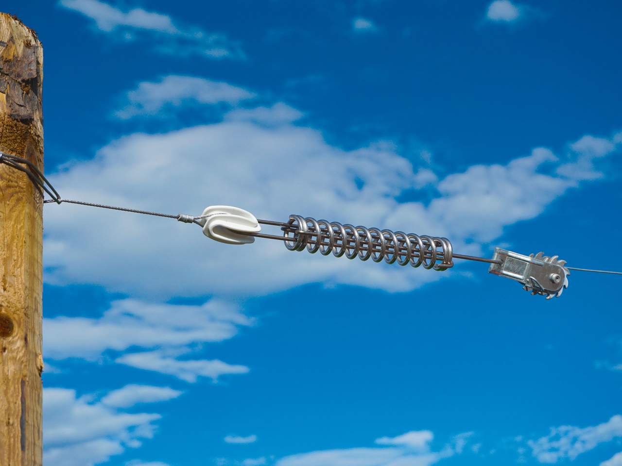 Premium Horse Wire - Image 17 of 25