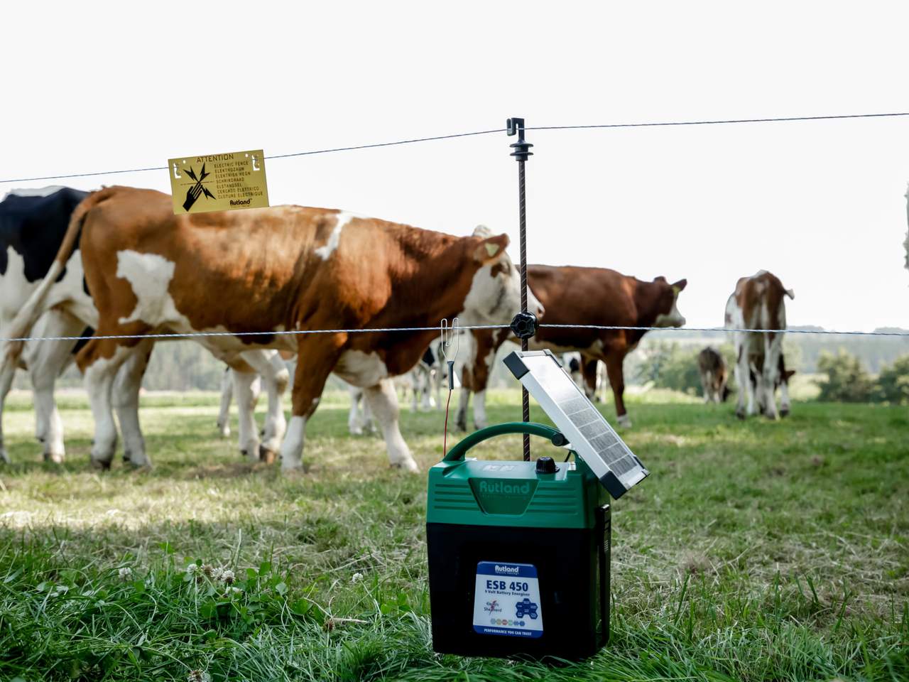 ESB 450 - Image 11 of 12