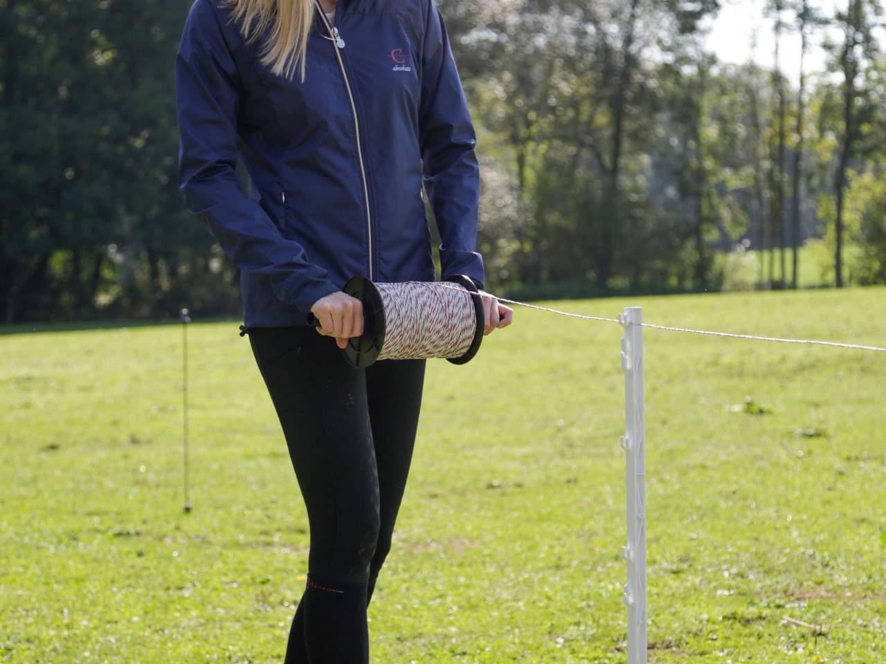 Drop Handles - Image 4 of 4