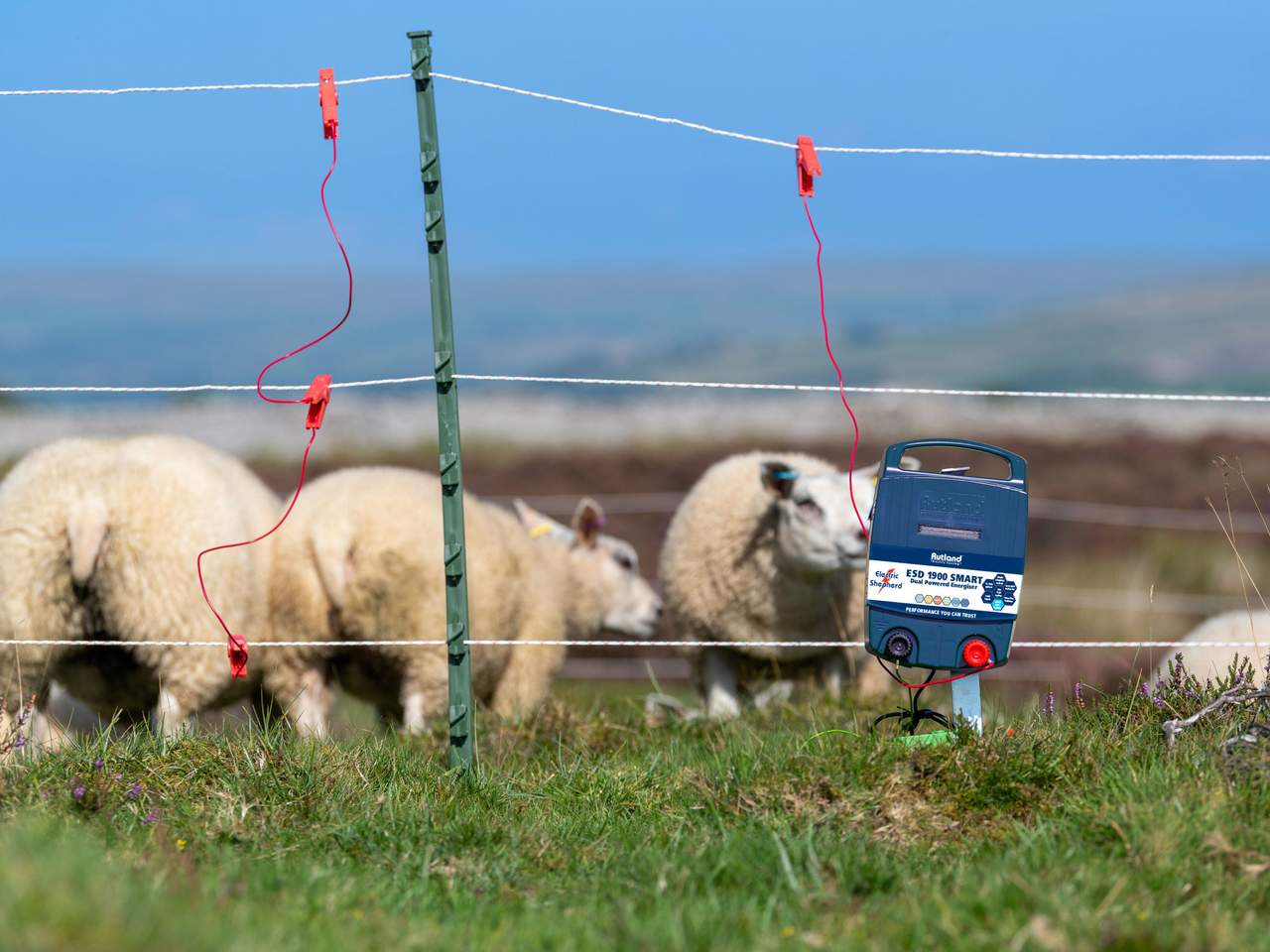 ESD 1900 smart - Image 2 of 2