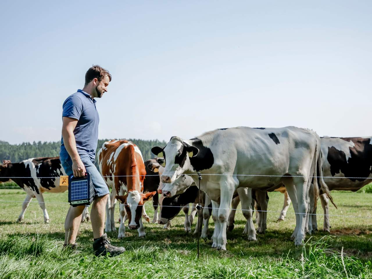 ESS 400 - Image 2 of 7