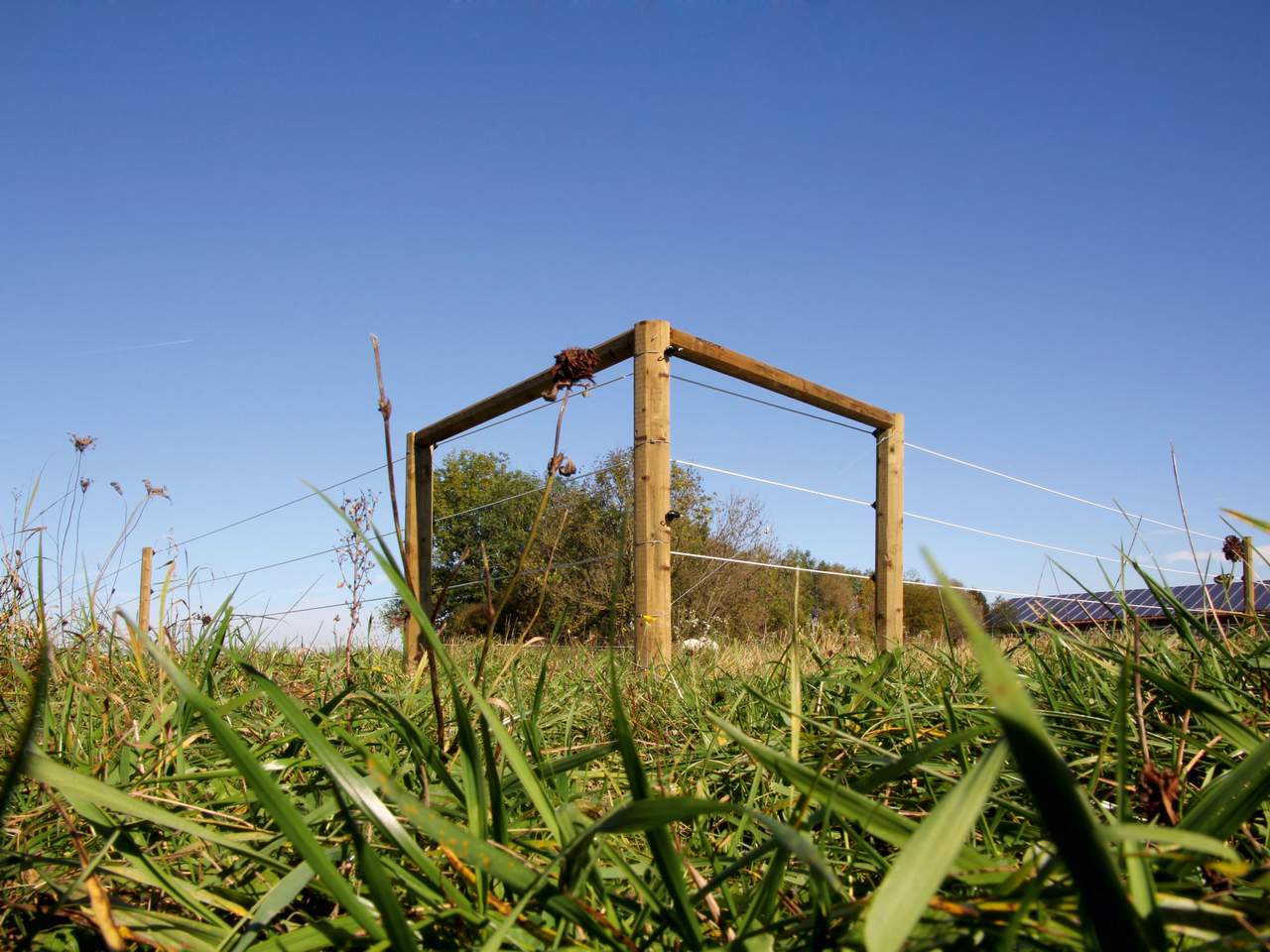 Premium Horse Wire - Image 15 of 25