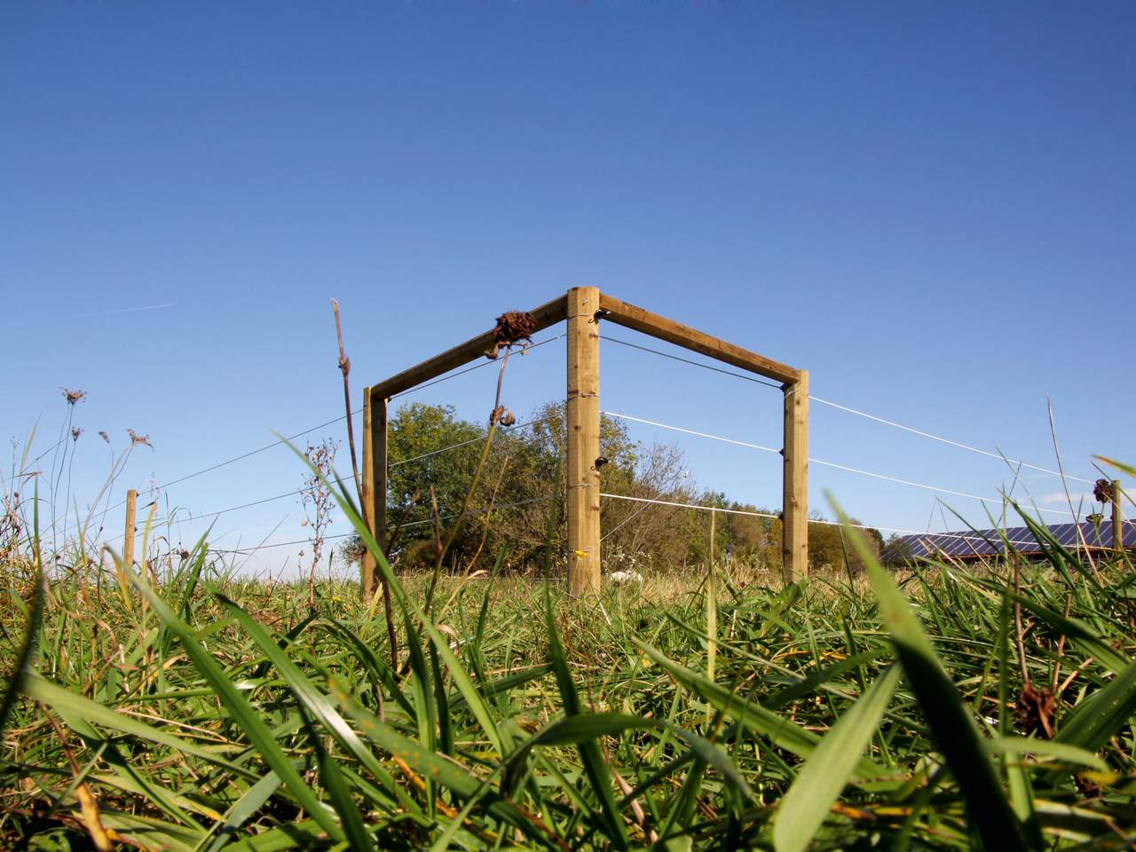 Premium Horse Wire - Image 15 of 25