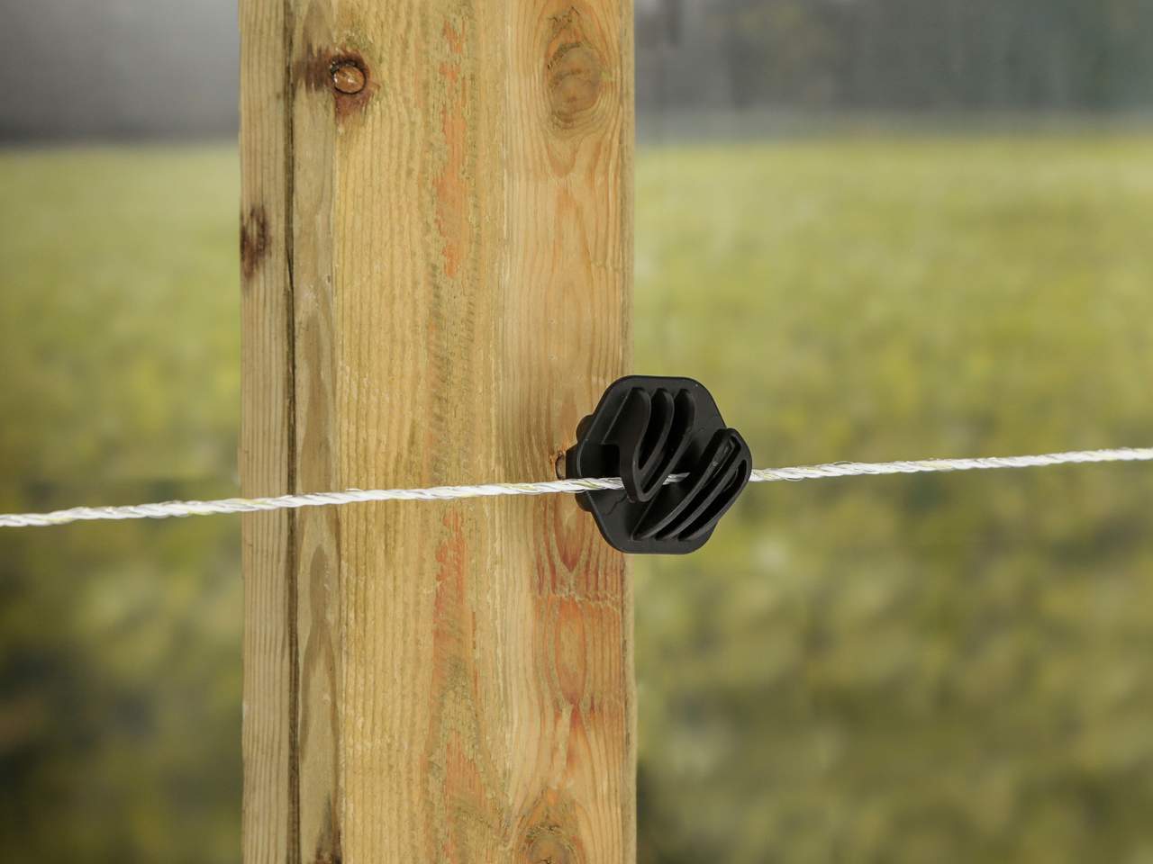 Poly Wire - Image 14 of 16