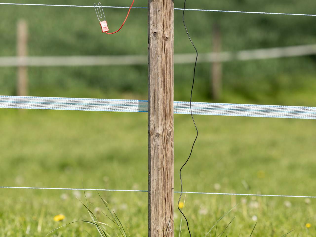 AKO Smart Satellite - Image 11 of 18