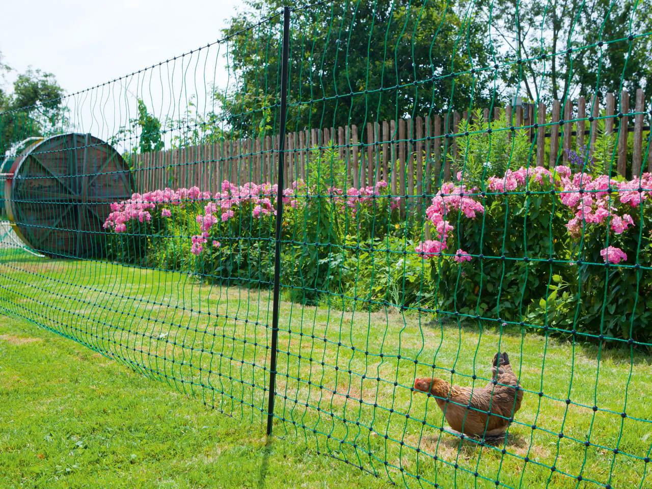 Poultry Netting - Image 10 of 15