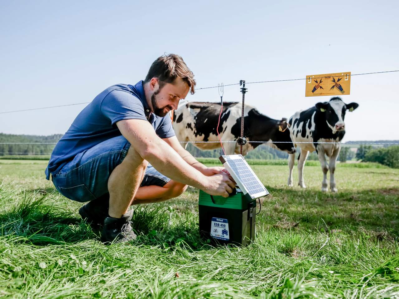 ESB 450 - Image 6 of 12