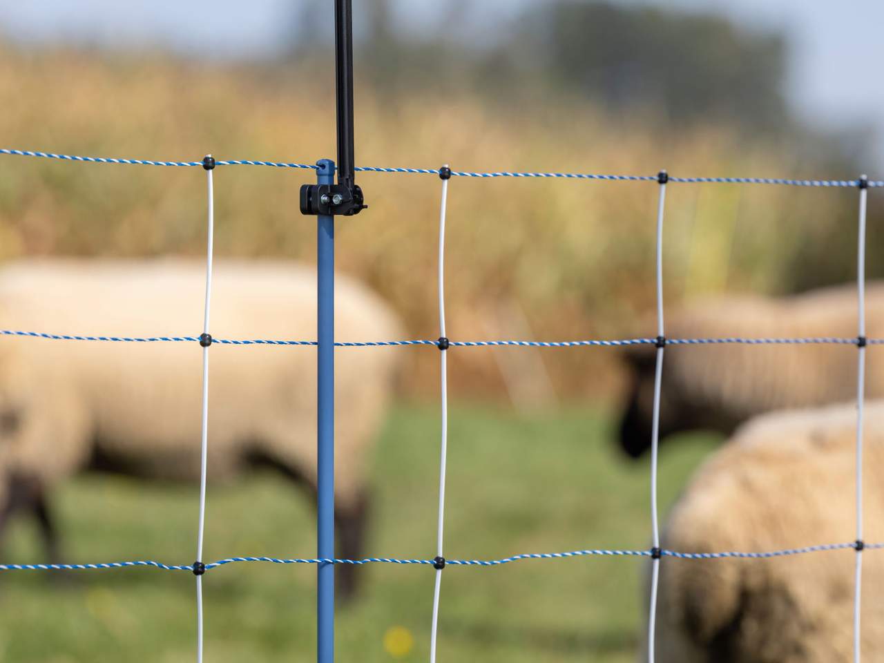 Supplementary Set for Pasture Nets WolfStop - Image 9 of 15