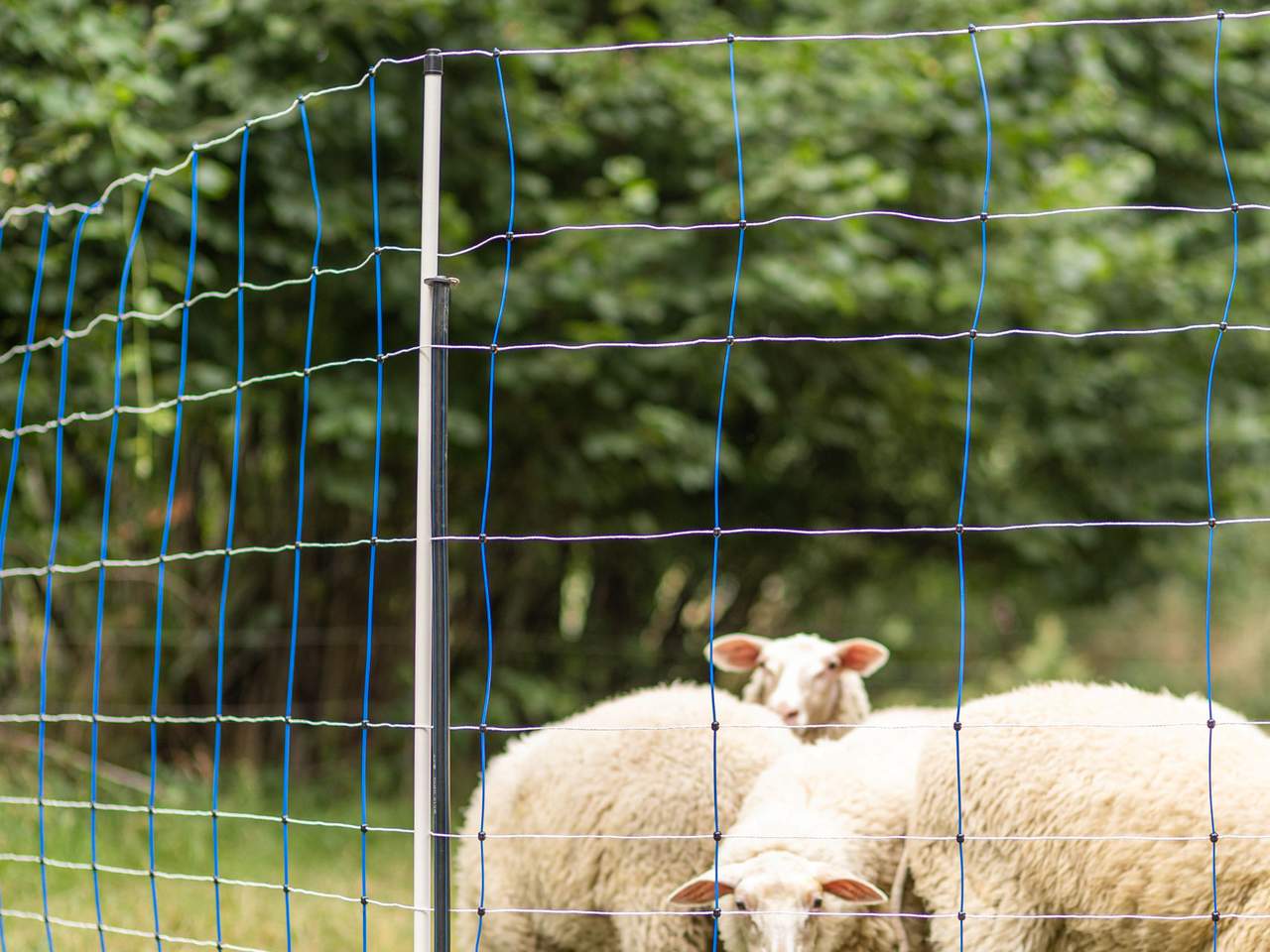 Support Post for Field Netting - Image 12 of 21
