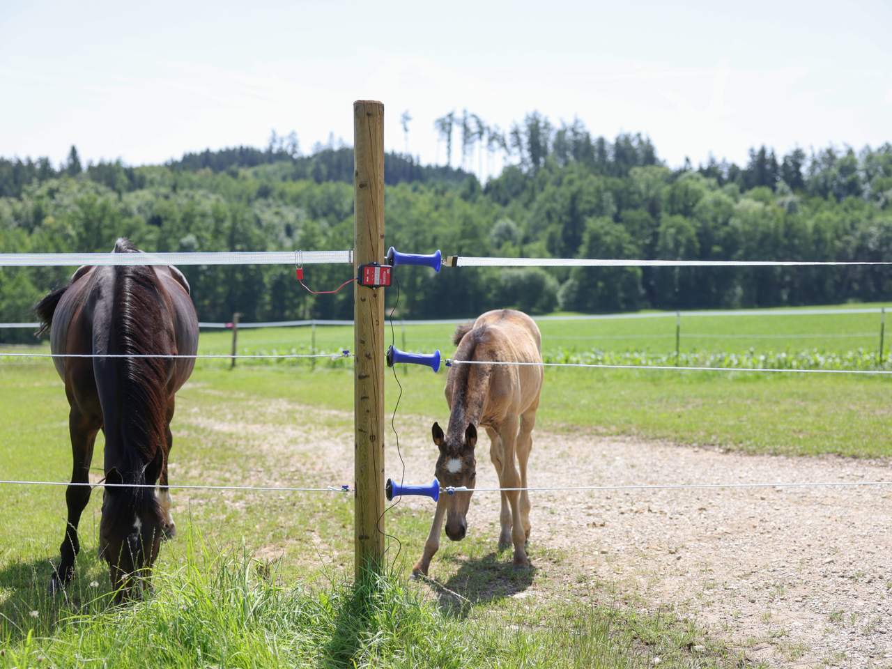 AKO Smart Satellite - Image 18 of 18