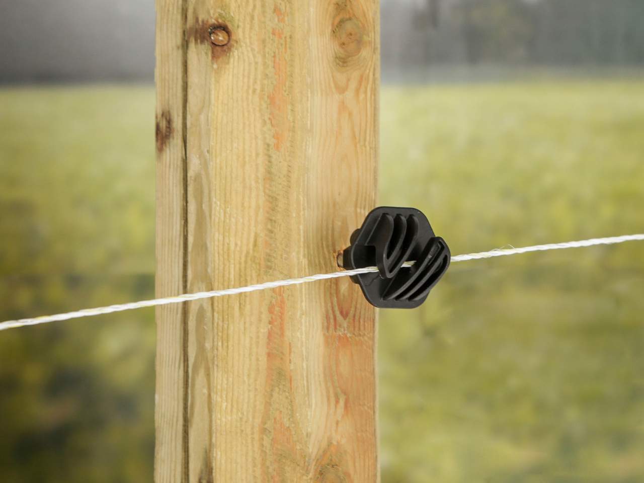 Poly Wire Essentials - Image 8 of 8