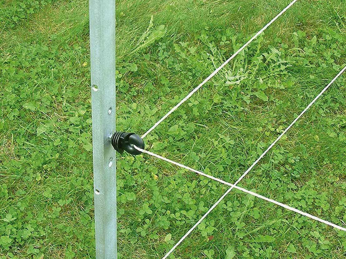 Multi Post - Image 5 of 5