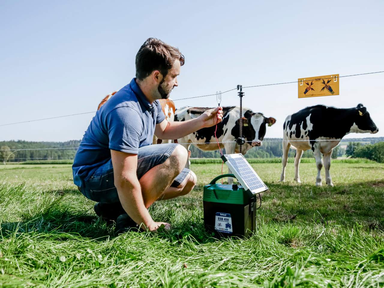 ESB 450 - Image 10 of 12