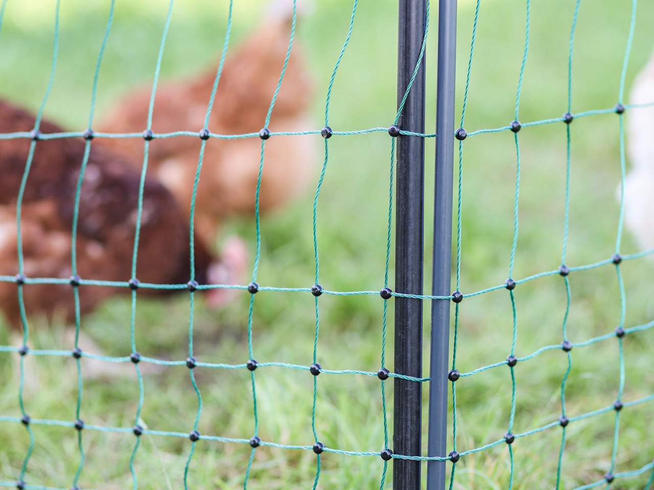 Support Post for Field Netting - Image 8 of 21
