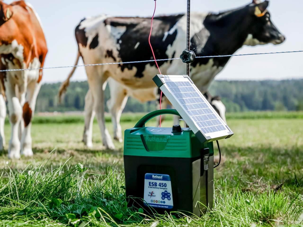 ESB 450 - Image 7 of 12