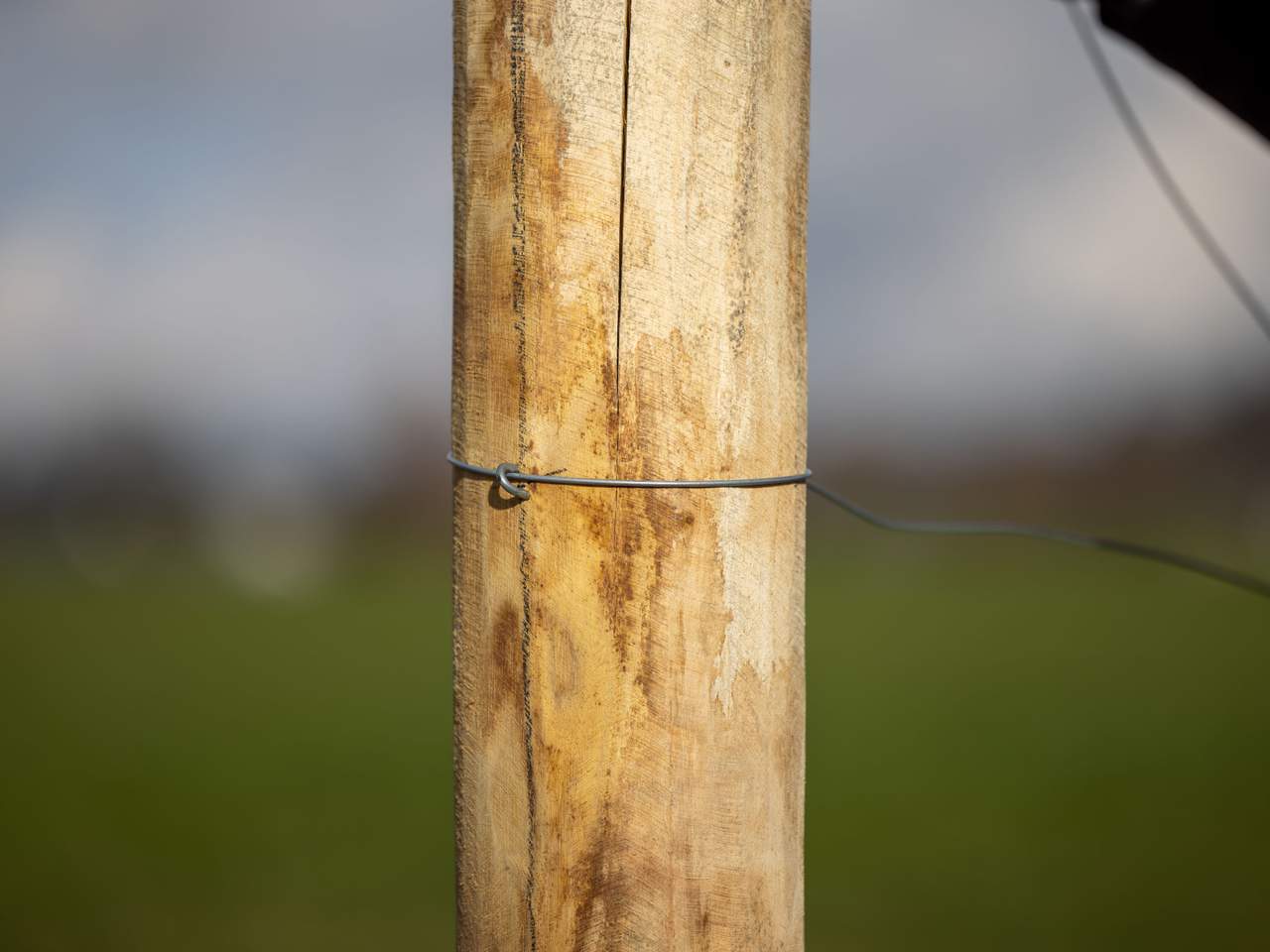 Staples - Image 4 of 5