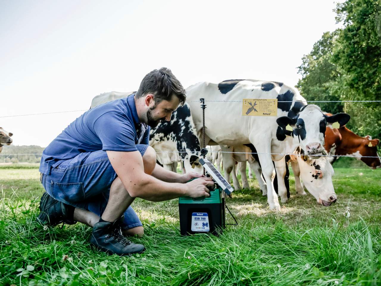 ESB 700 - Image 9 of 11