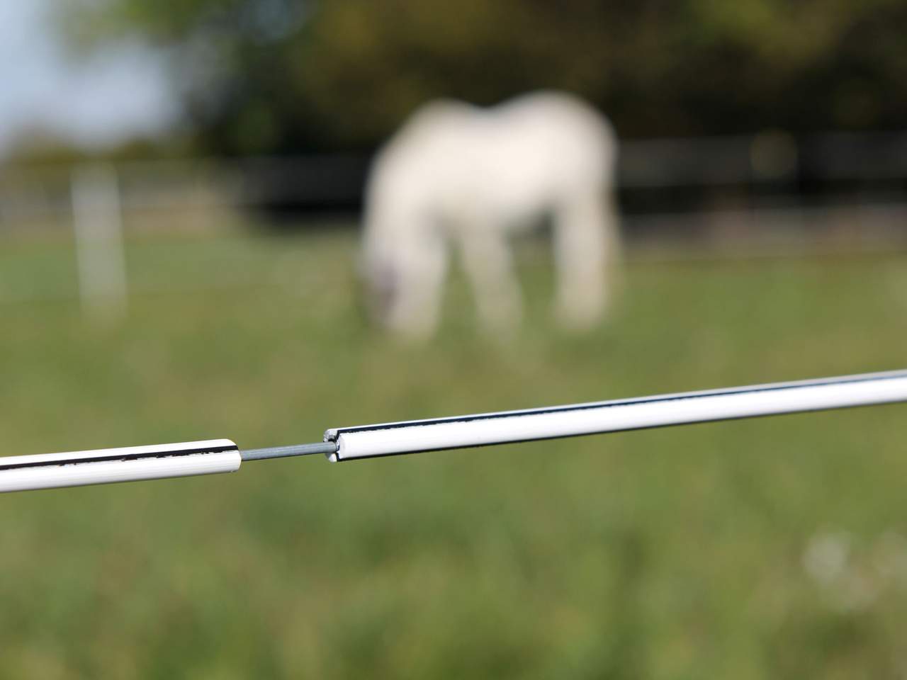 Premium Horse Wire - Image 16 of 25