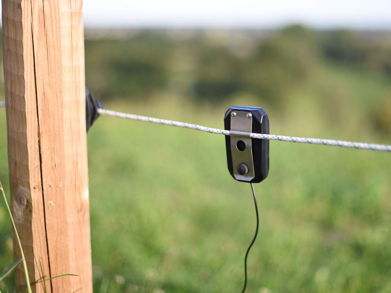 Pulse Flash - Image 4 of 5